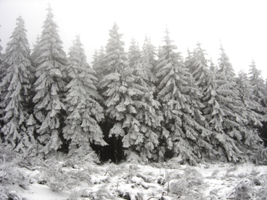 givre